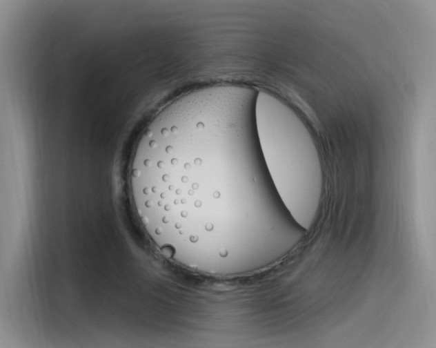 X0000115520635200911061024