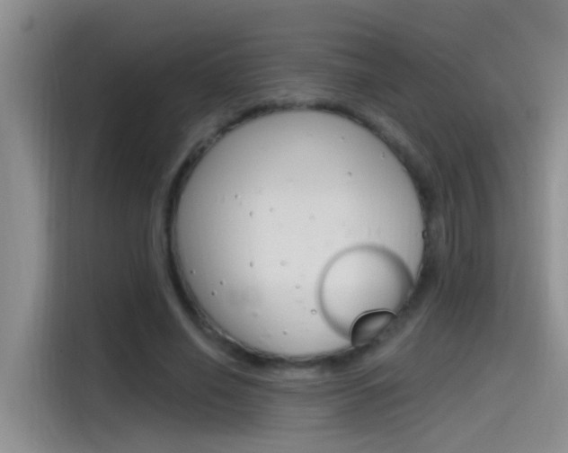 X0000115520638200911061024