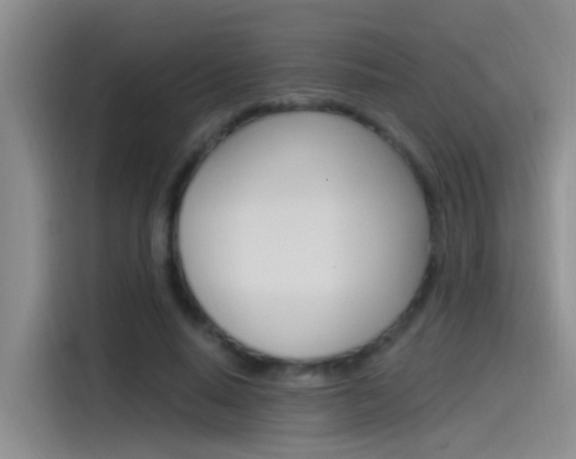 X0000115520640200911061024