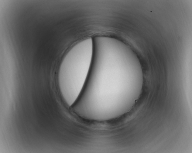 X0000115520642200911061024