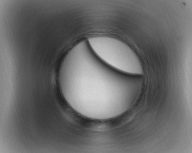 X0000115520643200911061024