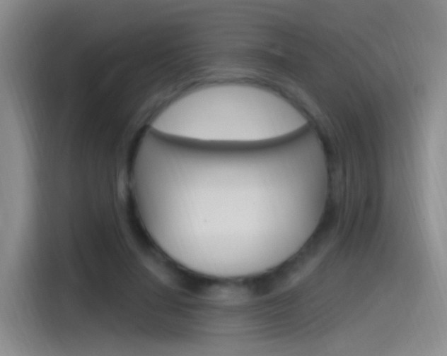 X0000115520644200911061024