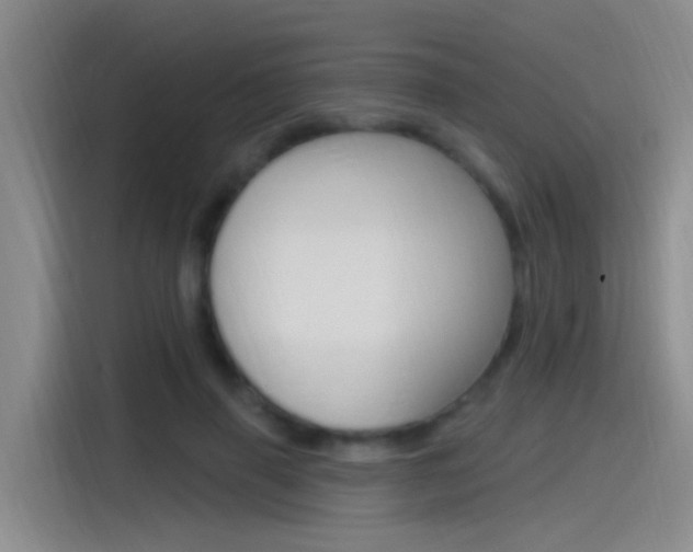 X0000115520645200911061024