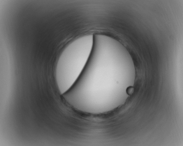 X0000115520648200911061024