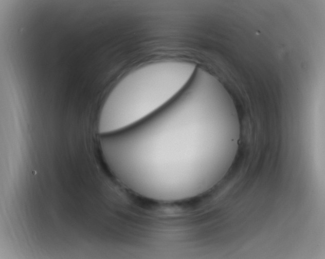 X0000115520650200911061024