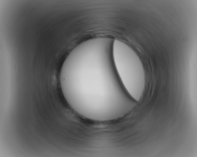 X0000115520655200911061024