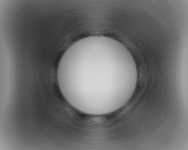 X0000115520659200911061024