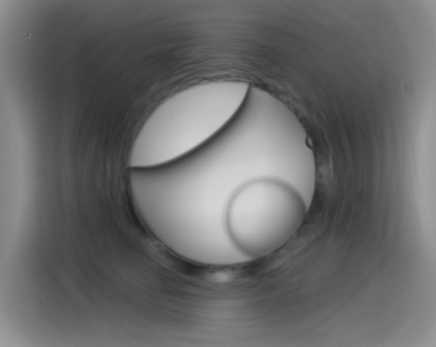 X0000115520662200911061024