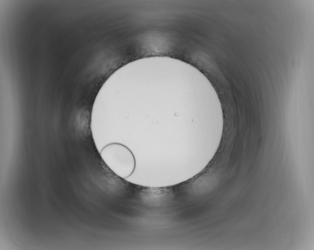 X0000115520672200911061024