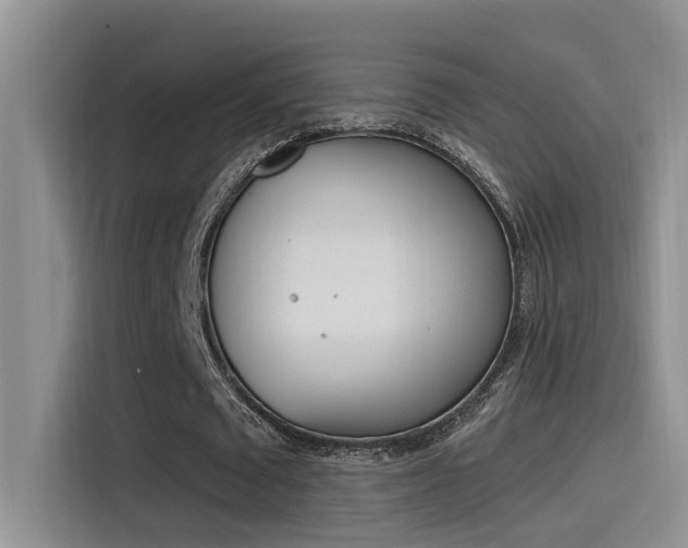 X0000115520673200911061024