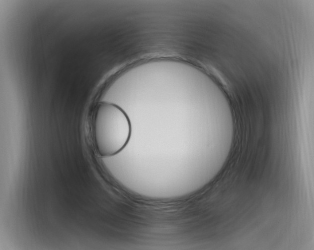 X0000115520684200911061024