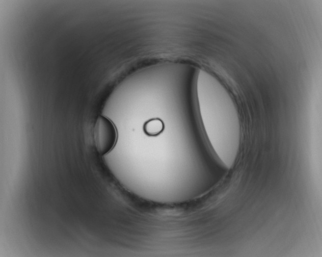 X0000115520689200911061023