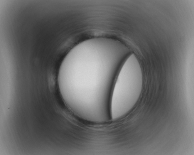 X0000115520691200911061023