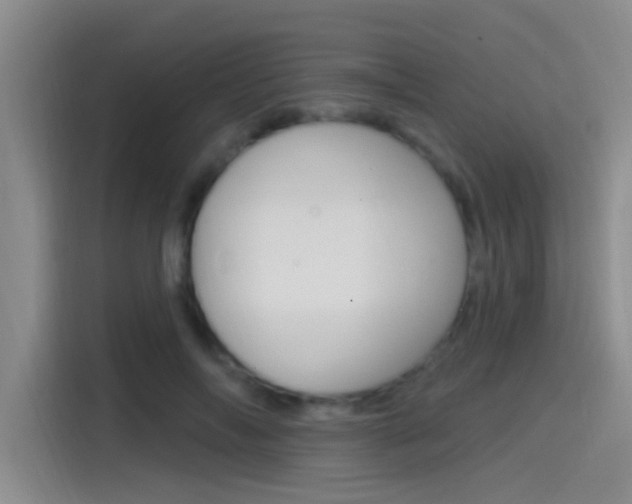 X0000115520694200911061023