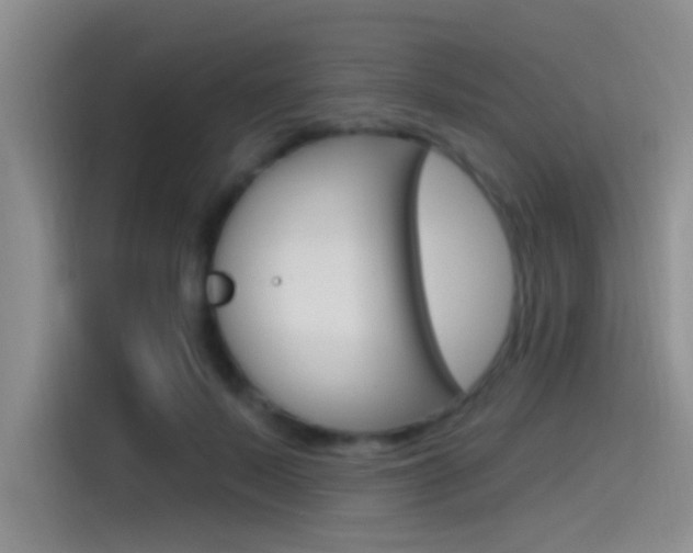 X0000115520695200911061023