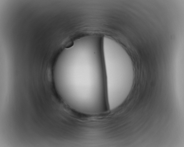 X0000115520700200911061023