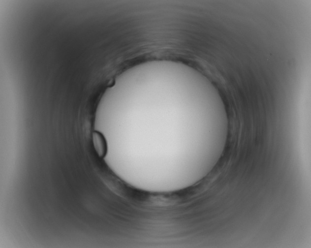 X0000115520703200911061023