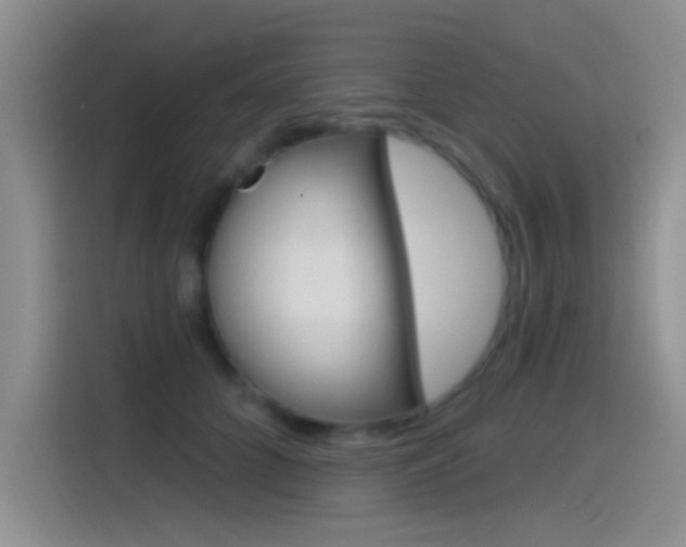 X0000115520704200911061023