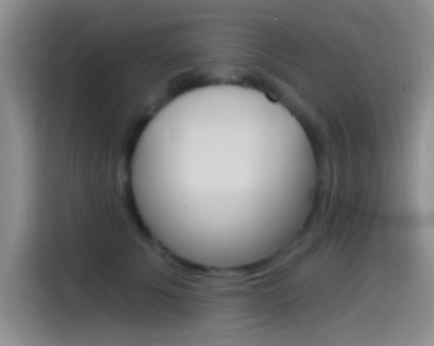 X0000115520707200911061023