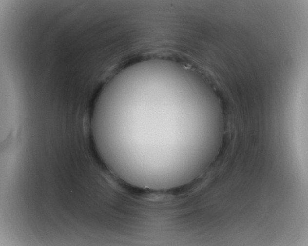 X0000115520708200911061023