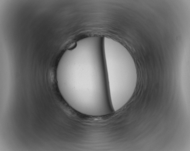 X0000115520715200911061023