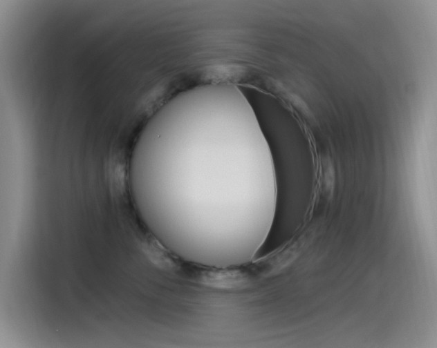 X0000115520716200911061023