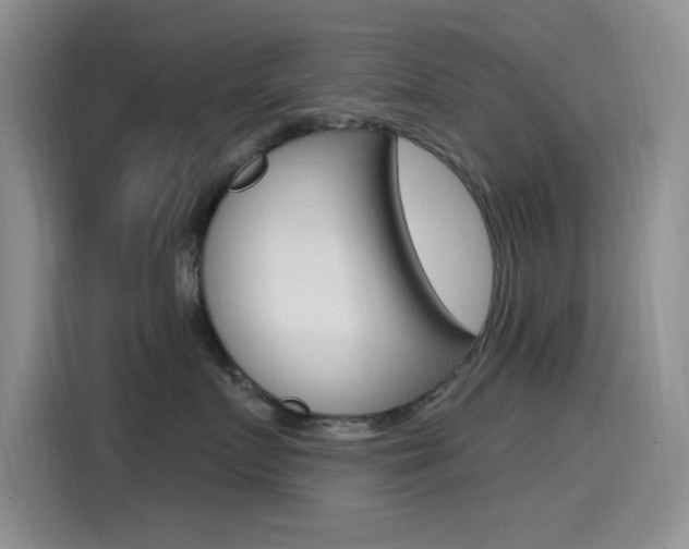 X0000115520719200911061023