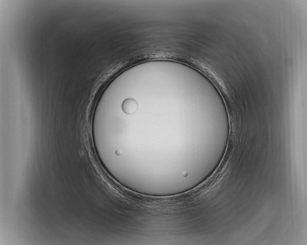 X0000115520721200911061022
