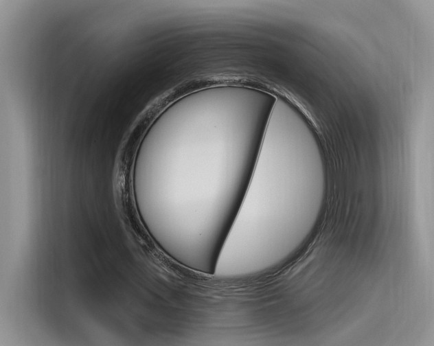 X0000115520723200911061022