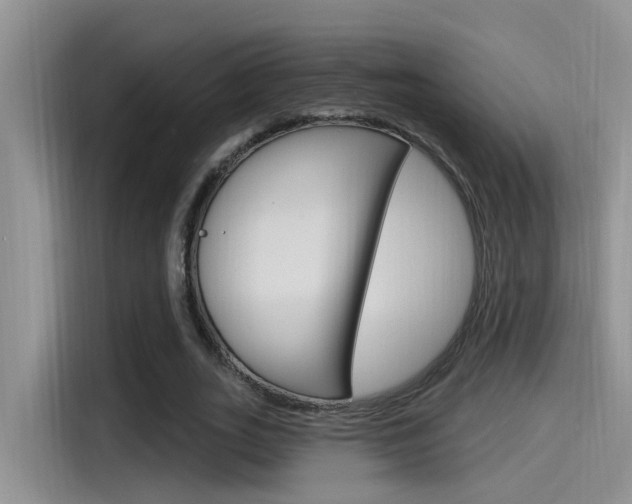 X0000115520727200911061022