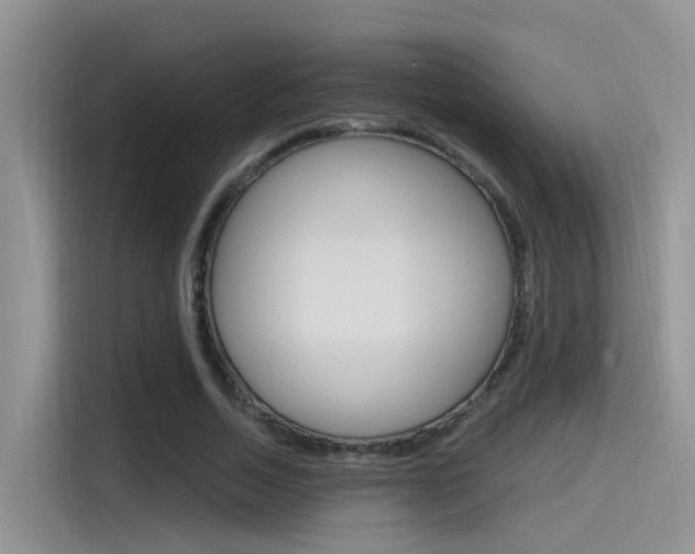 X0000115520730200911061023