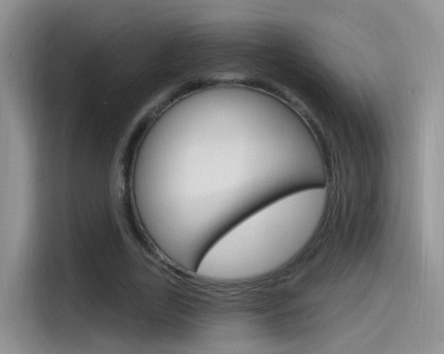 X0000115520731200911061023