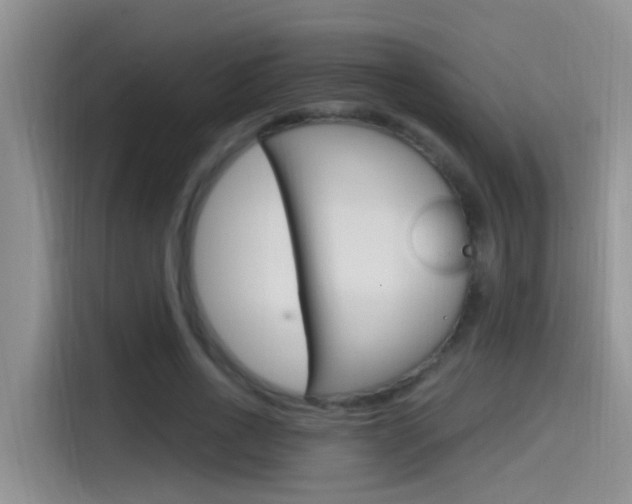 X0000115520734200911061023