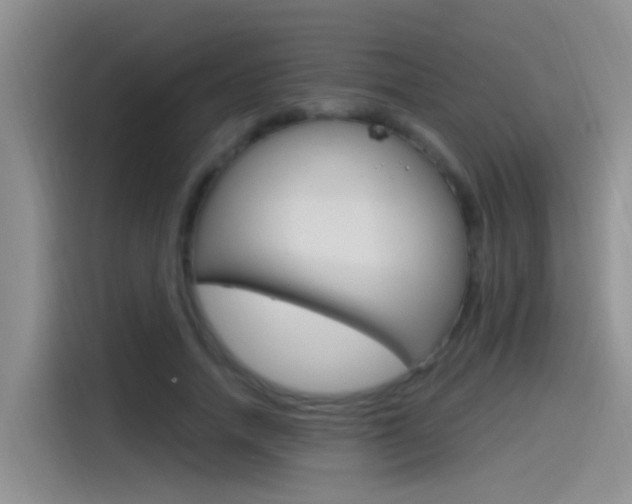X0000115520738200911061023
