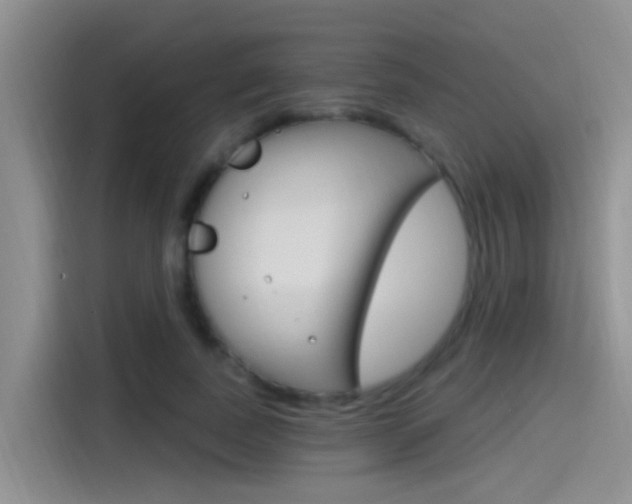 X0000115520739200911061023