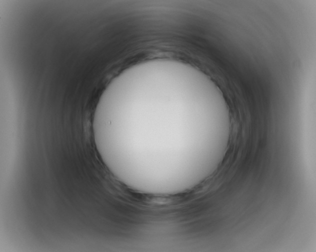 X0000115520749200911061023