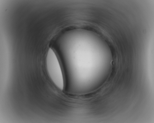 X0000115520750200911061023