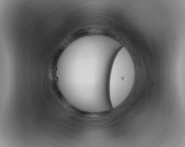X0000115520755200911061023