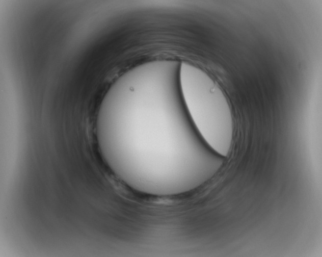 X0000115520759200911061023