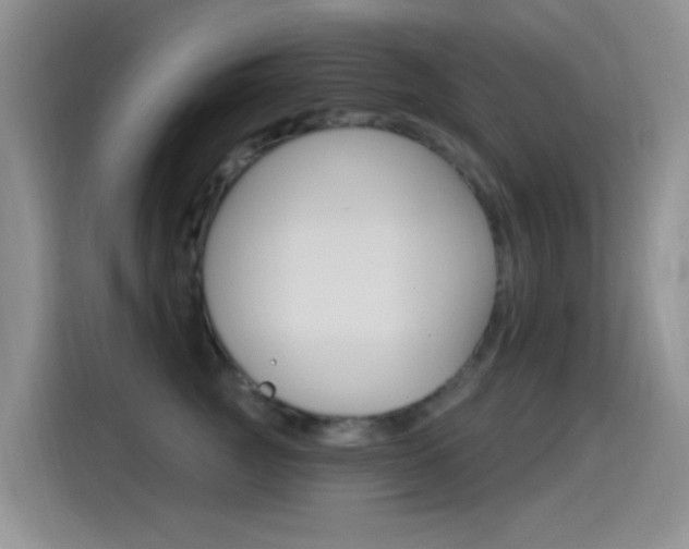 X0000115520761200911061023