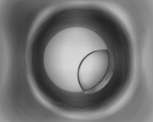 X0000115520766200911061023