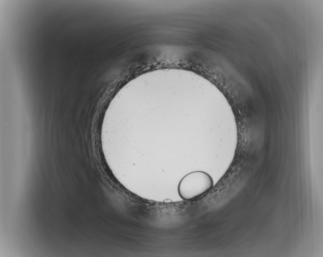 X0000115520769200911061022