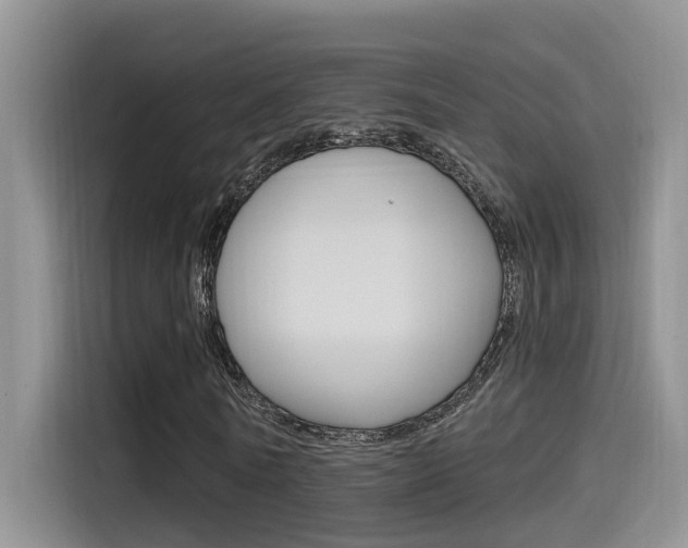X0000115520770200911061022