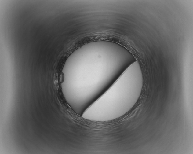 X0000115520771200911061022
