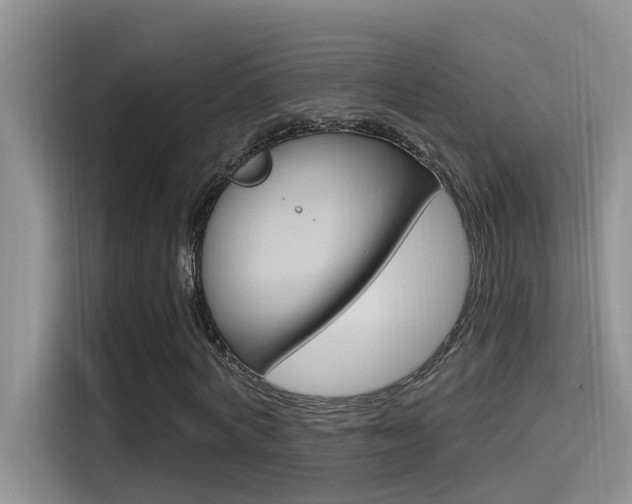 X0000115520772200911061022