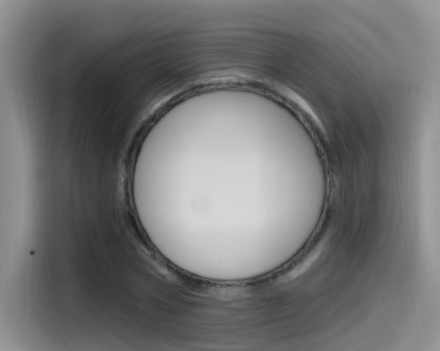 X0000115520778200911061022