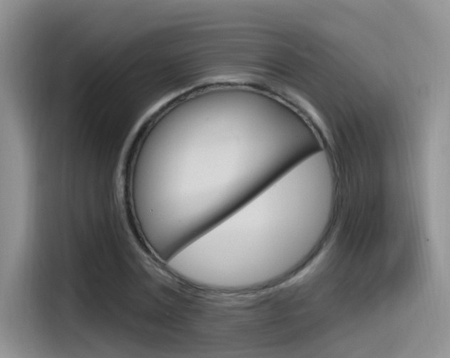 X0000115520779200911061022