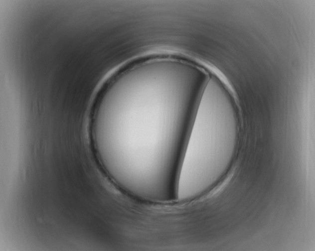 X0000115520783200911061022
