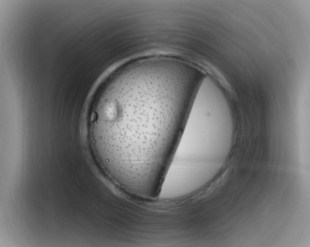 X0000115520784200911061022
