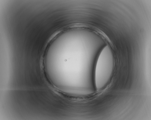 X0000115520786200911061022
